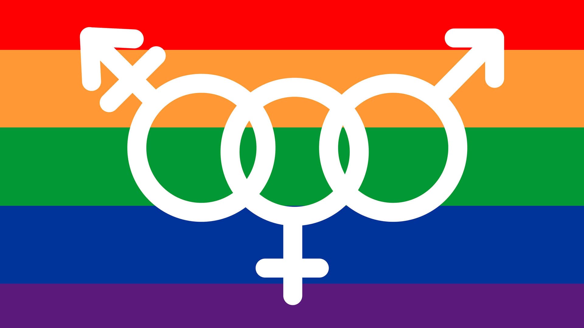 Queer und Queeres Leben