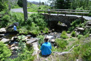 Sommerwanderung Harz